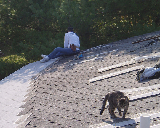 roof 1